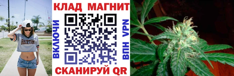 Все наркотики Дмитров ГАШ КОКАИН APVP Канабис Мефедрон