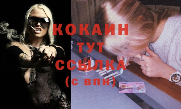 apvp Валдай