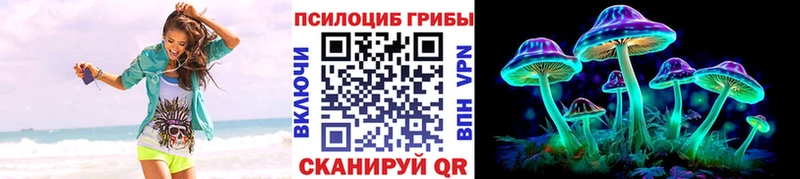 Галлюциногенные грибы прущие грибы  хочу   Дмитров 