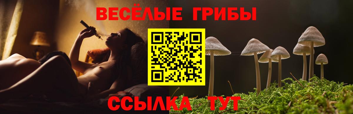 Галлюциногенные грибы Cubensis  Вход с VPN  Дмитров  Галлюциногенные грибы мицелий 